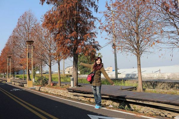 后豐鐵馬道：【台中景點】后豐鐵馬道落羽松秘境。享受這樣片刻的寧靜也挺美好。來場與落羽松對話的輕旅行吧