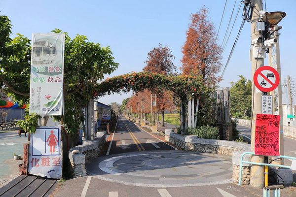 后豐鐵馬道：【台中景點】后豐鐵馬道落羽松秘境。享受這樣片刻的寧靜也挺美好。來場與落羽松對話的輕旅行吧