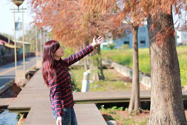 后豐鐵馬道：【台中景點】后豐鐵馬道落羽松秘境。享受這樣片刻的寧靜也挺美好。來場與落羽松對話的輕旅行吧