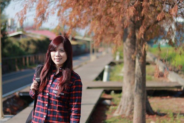 后豐鐵馬道：【台中景點】后豐鐵馬道落羽松秘境。享受這樣片刻的寧靜也挺美好。來場與落羽松對話的輕旅行吧