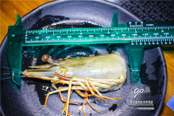 go鱻 海鮮涮涮鍋~桃園八德直營店(夠鮮、有夠新鮮,海大蝦產地直送、N訪登場)