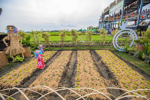 LINE FRIENDS彩繪稻田:【遊記】{屏東。南州}「全球首發 LINE FRIENDS彩繪稻田」就在2015屏東國際彩稻藝術節 LINE FRIENDS彩繪稻田:【遊記】{屏東。南州}「全球首發 LINE FRIENDS彩繪稻田」就在2015屏東國際彩稻藝術節