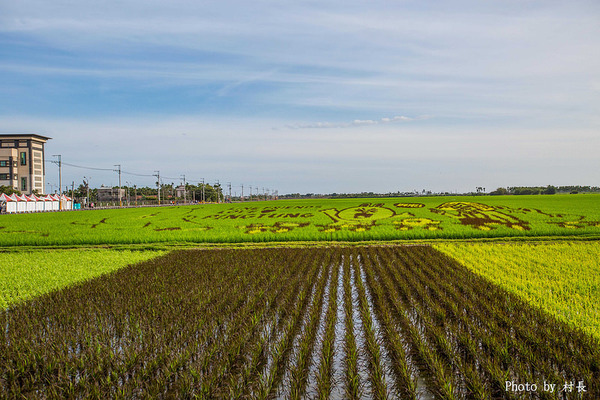 LINE FRIENDS彩繪稻田:【遊記】{屏東。南州}「全球首發 LINE FRIENDS彩繪稻田」就在2015屏東國際彩稻藝術節 LINE FRIENDS彩繪稻田:【遊記】{屏東。南州}「全球首發 LINE FRIENDS彩繪稻田」就在2015屏東國際彩稻藝術節