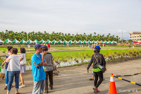 LINE FRIENDS彩繪稻田:【遊記】{屏東。南州}「全球首發 LINE FRIENDS彩繪稻田」就在2015屏東國際彩稻藝術節 LINE FRIENDS彩繪稻田:【遊記】{屏東。南州}「全球首發 LINE FRIENDS彩繪稻田」就在2015屏東國際彩稻藝術節