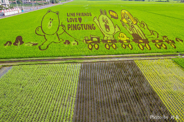 LINE FRIENDS彩繪稻田:【遊記】{屏東。南州}「全球首發 LINE FRIENDS彩繪稻田」就在2015屏東國際彩稻藝術節 LINE FRIENDS彩繪稻田:【遊記】{屏東。南州}「全球首發 LINE FRIENDS彩繪稻田」就在2015屏東國際彩稻藝術節