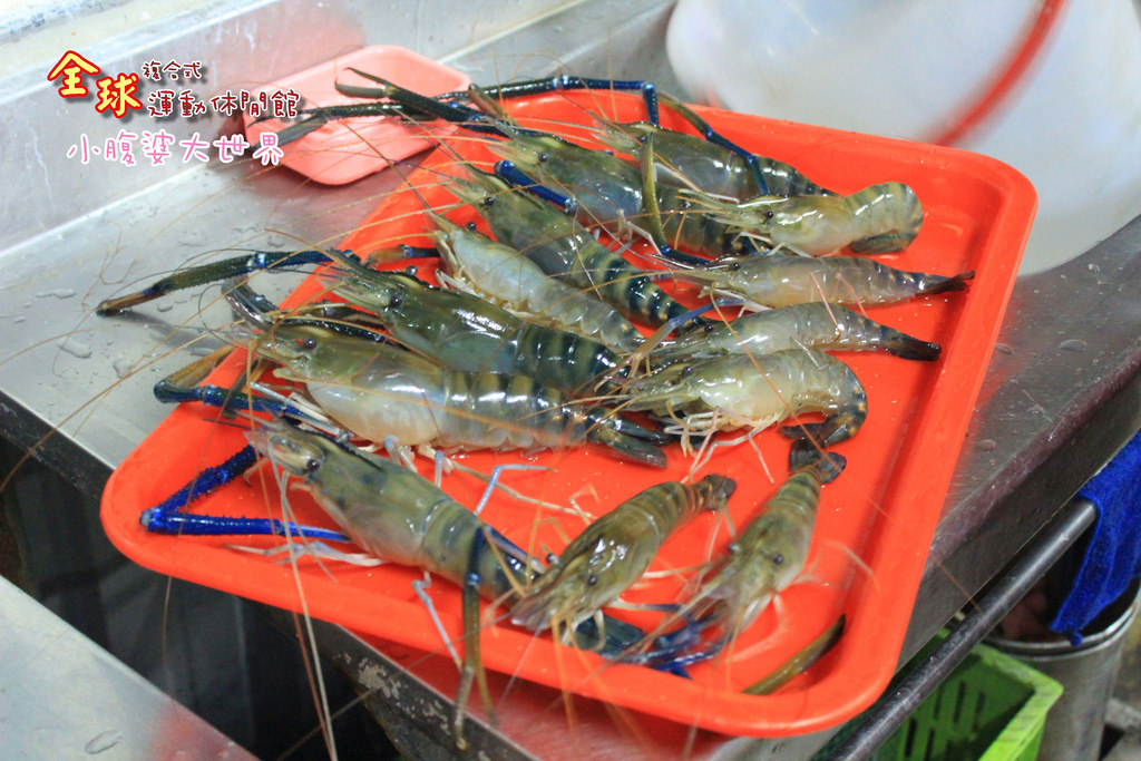 釣蝦 039