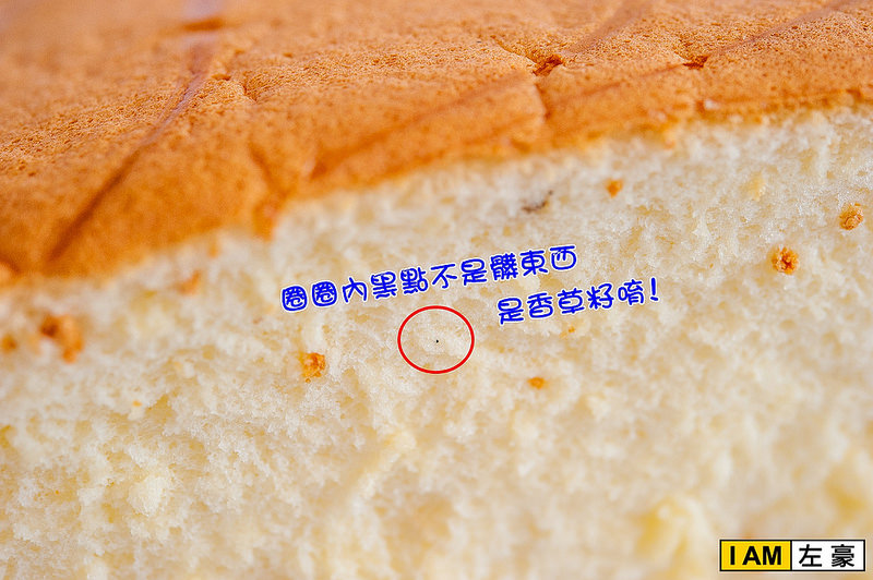 DSC_4579-1 DSC_4579-1