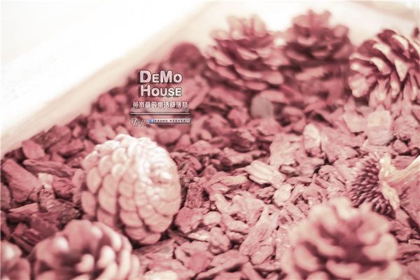 DEMO HOUSE早午餐-桃園市/桃園區(快帶您的毛小孩來共進餐點)