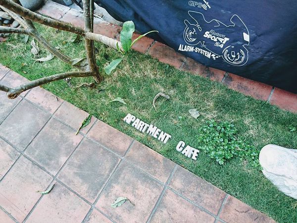 26230084_1737391516292530_4600778817012528476_n