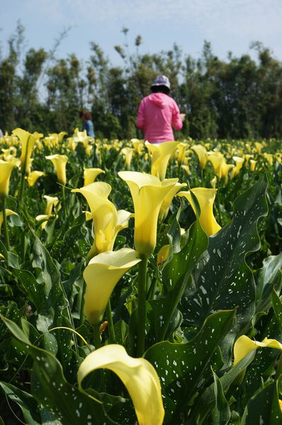 5.DSC00511.JPG 5.DSC00511.JPG