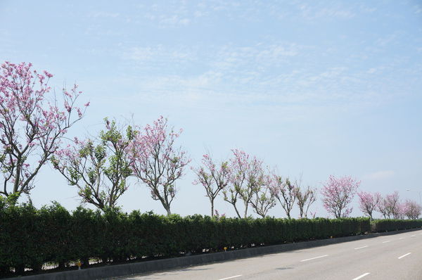 25.DSC00597.JPG 25.DSC00597.JPG