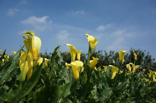 10.DSC00546.JPG 10.DSC00546.JPG