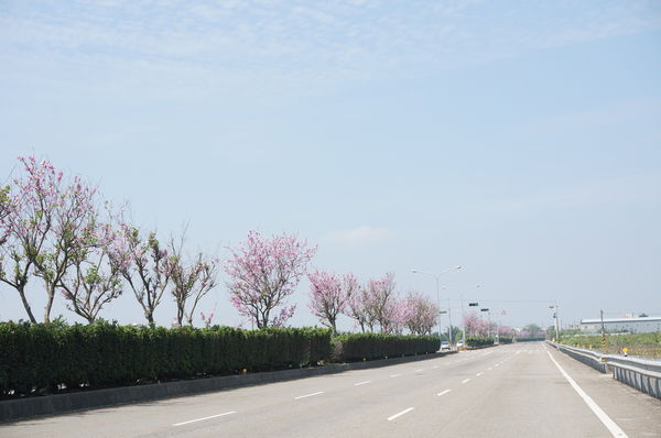 24.DSC00598.JPG 24.DSC00598.JPG