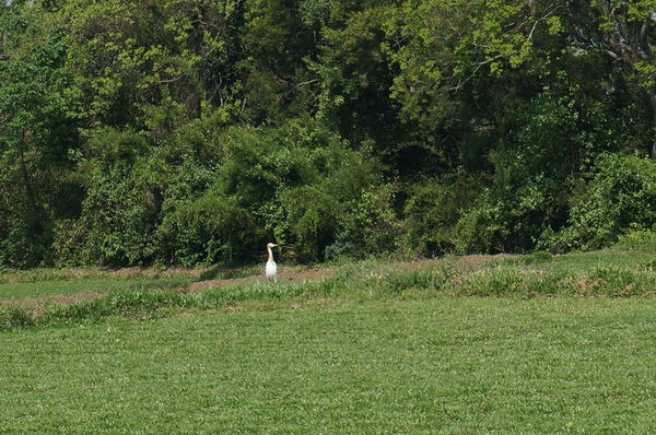 14.DSC00553.JPG 14.DSC00553.JPG