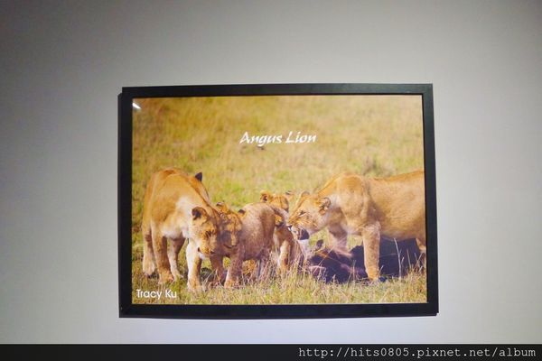 安格獅原烤牛排：口碑73-享用最純粹的好滋味.安格獅原烤牛排