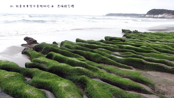 11102992_806242562791022_1411774136781195534_o