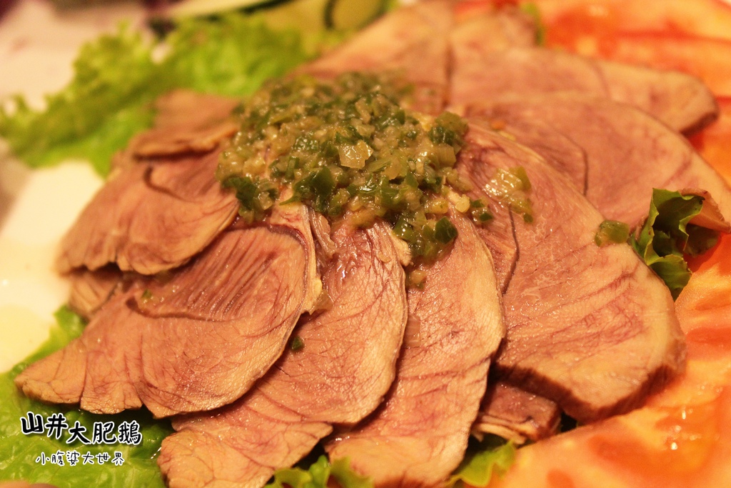 山井大肥鵝050.jpg 山井大肥鵝050.jpg