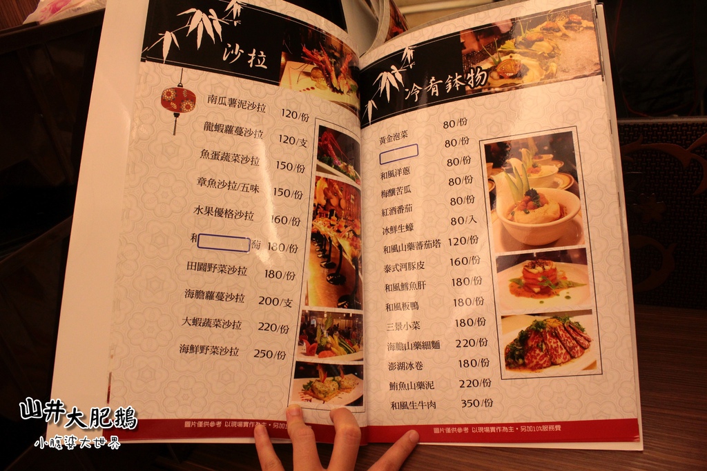 山井大肥鵝095.jpg 山井大肥鵝095.jpg