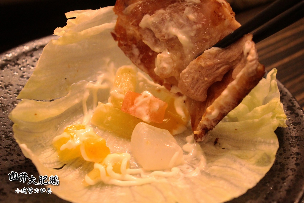 山井大肥鵝071.jpg 山井大肥鵝071.jpg