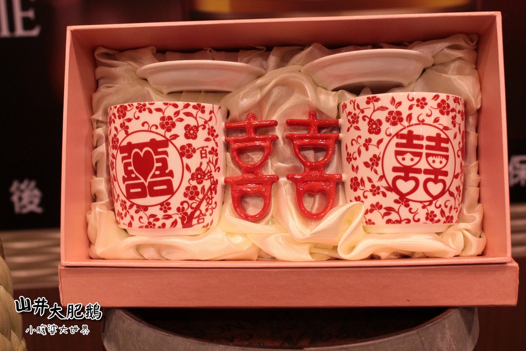 山井大肥鵝036.jpg 山井大肥鵝036.jpg