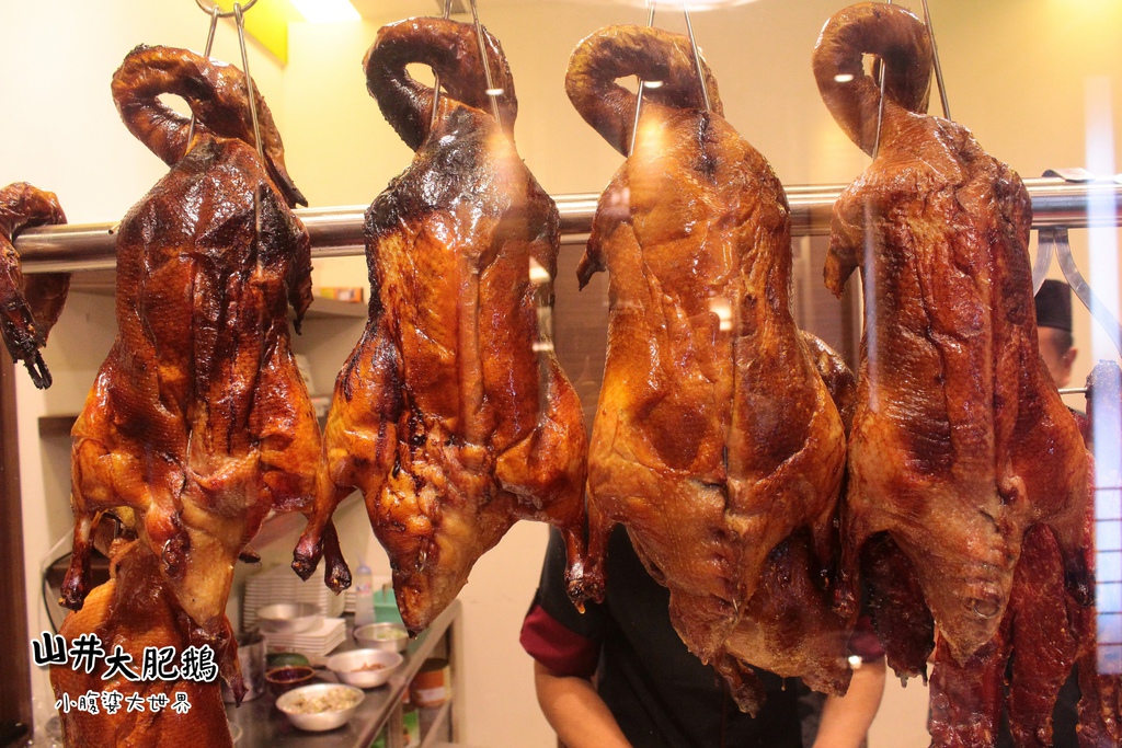 山井大肥鵝009.jpg 山井大肥鵝009.jpg