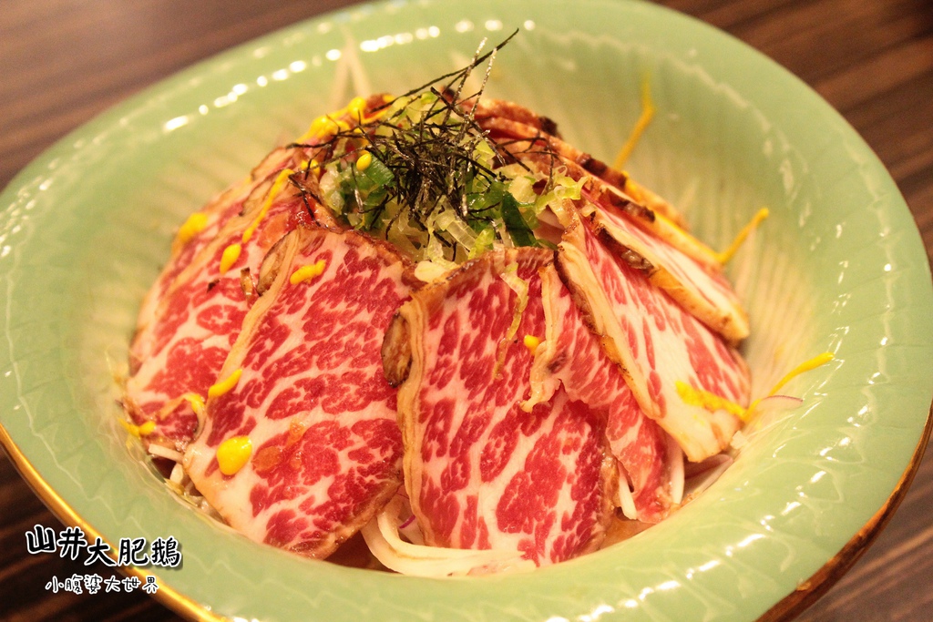 山井大肥鵝044.jpg 山井大肥鵝044.jpg