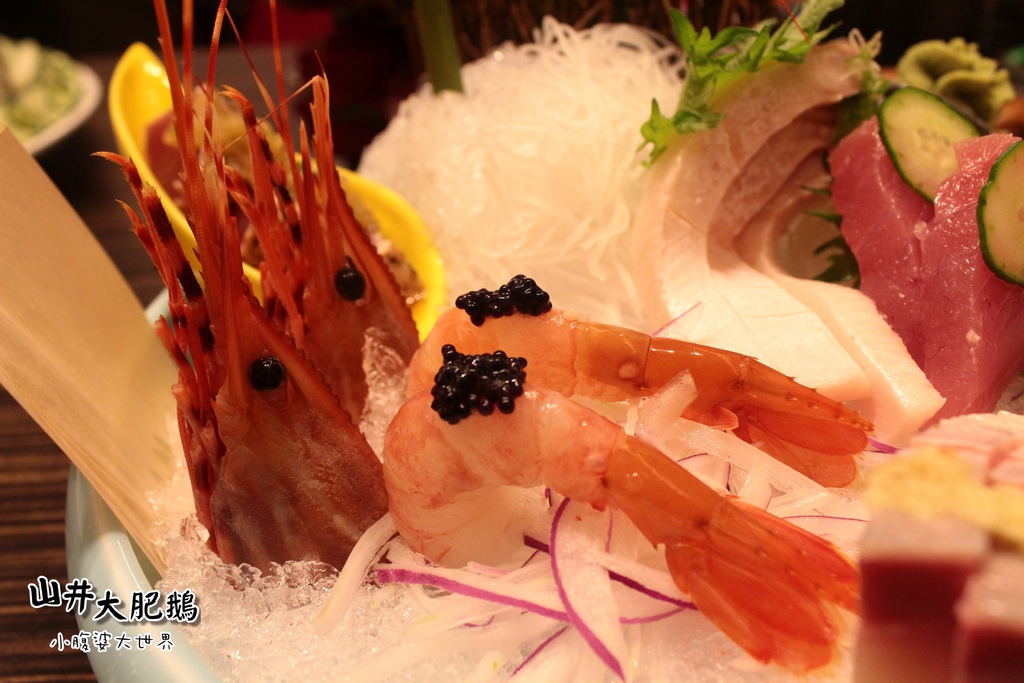 山井大肥鵝056.jpg 山井大肥鵝056.jpg