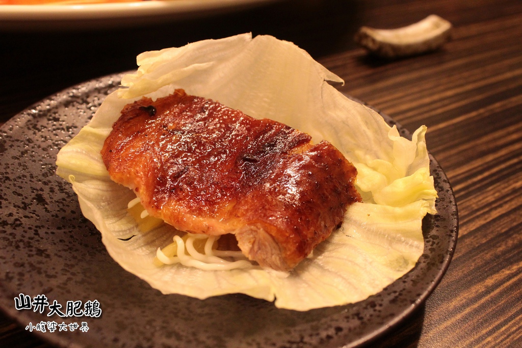 山井大肥鵝070.jpg 山井大肥鵝070.jpg