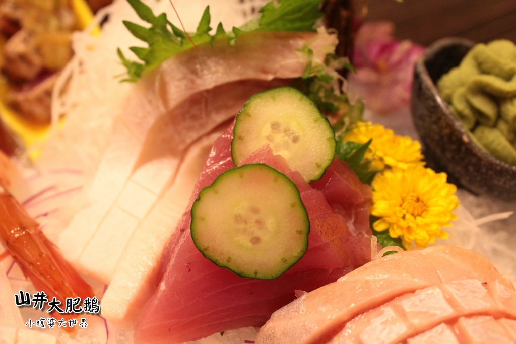 山井大肥鵝058.jpg 山井大肥鵝058.jpg