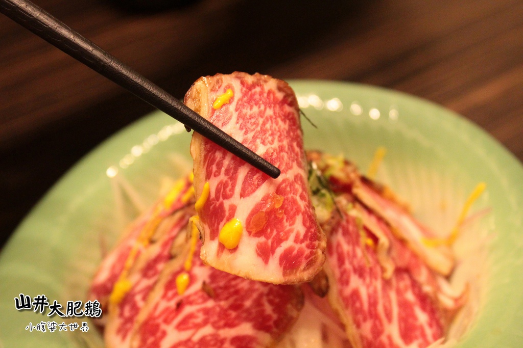 山井大肥鵝046.jpg 山井大肥鵝046.jpg