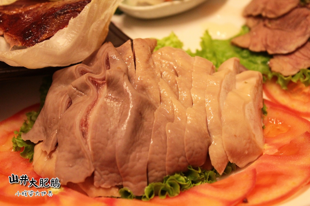 山井大肥鵝049.jpg 山井大肥鵝049.jpg