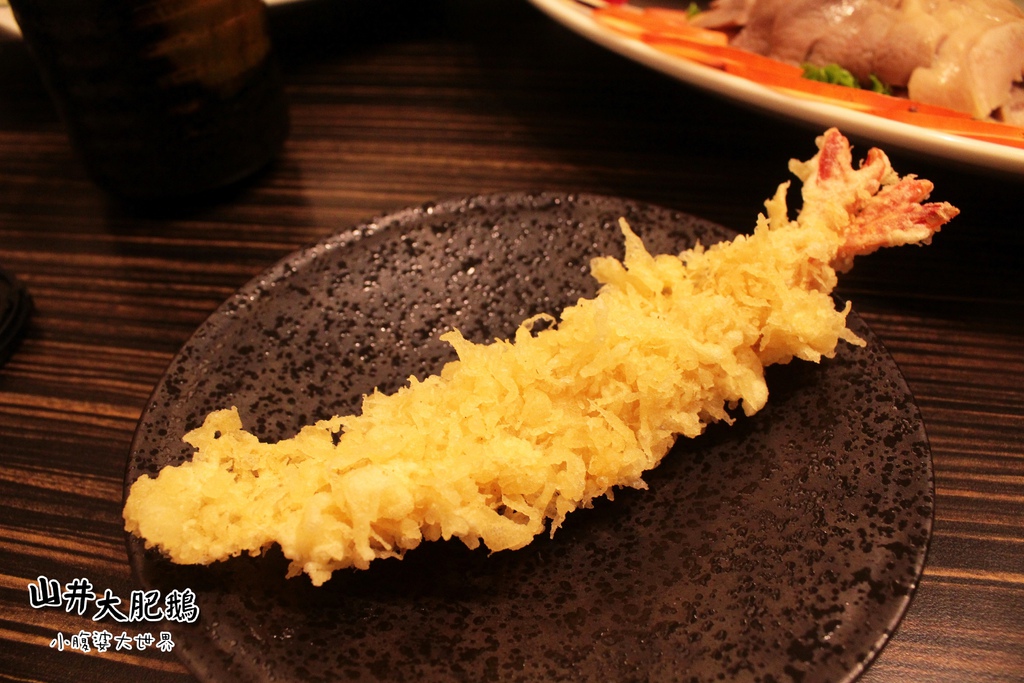 山井大肥鵝073.jpg 山井大肥鵝073.jpg