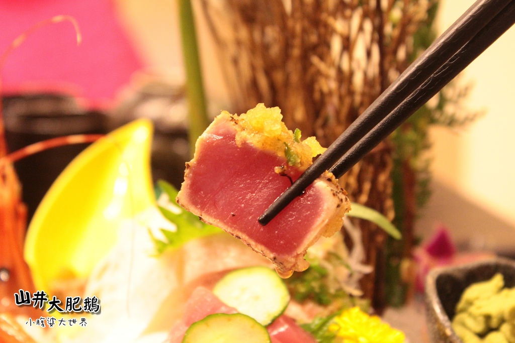 山井大肥鵝067.jpg 山井大肥鵝067.jpg