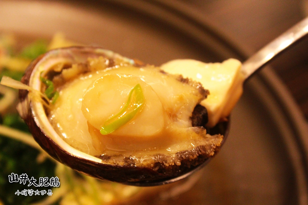 山井大肥鵝068.jpg 山井大肥鵝068.jpg