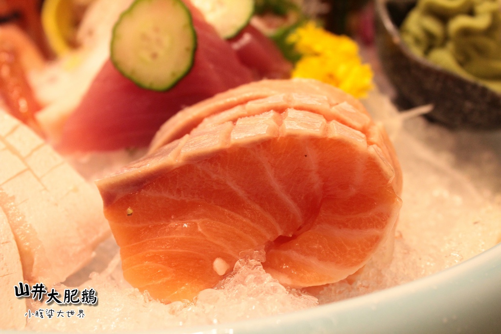 山井大肥鵝057.jpg 山井大肥鵝057.jpg