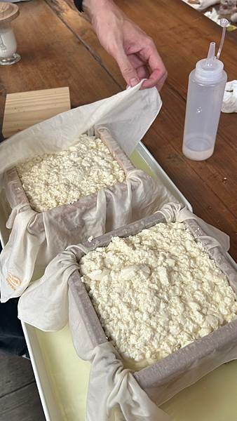 親子手作推薦！台中樹合苑手作豆腐體驗。