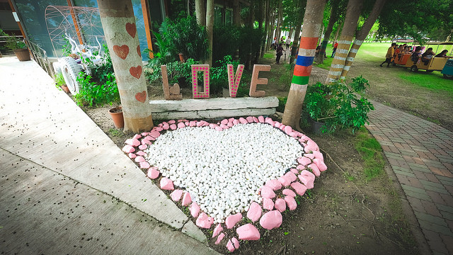 【雲林景點】九九莊園 約會景點 IG景點 斗六景點 親子情侶約會好景點