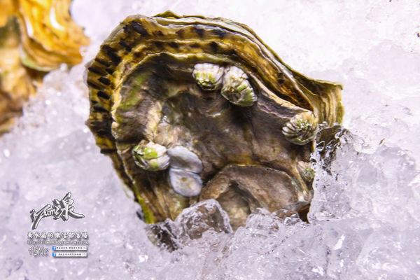 湶-加州壽司(izumi by sumi)│北捷/市府站(信義區創意壽司、食尚玩家推薦)