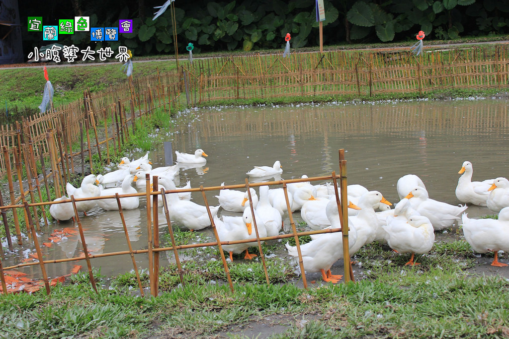 2015綠色博覽愷059 2015綠色博覽愷059