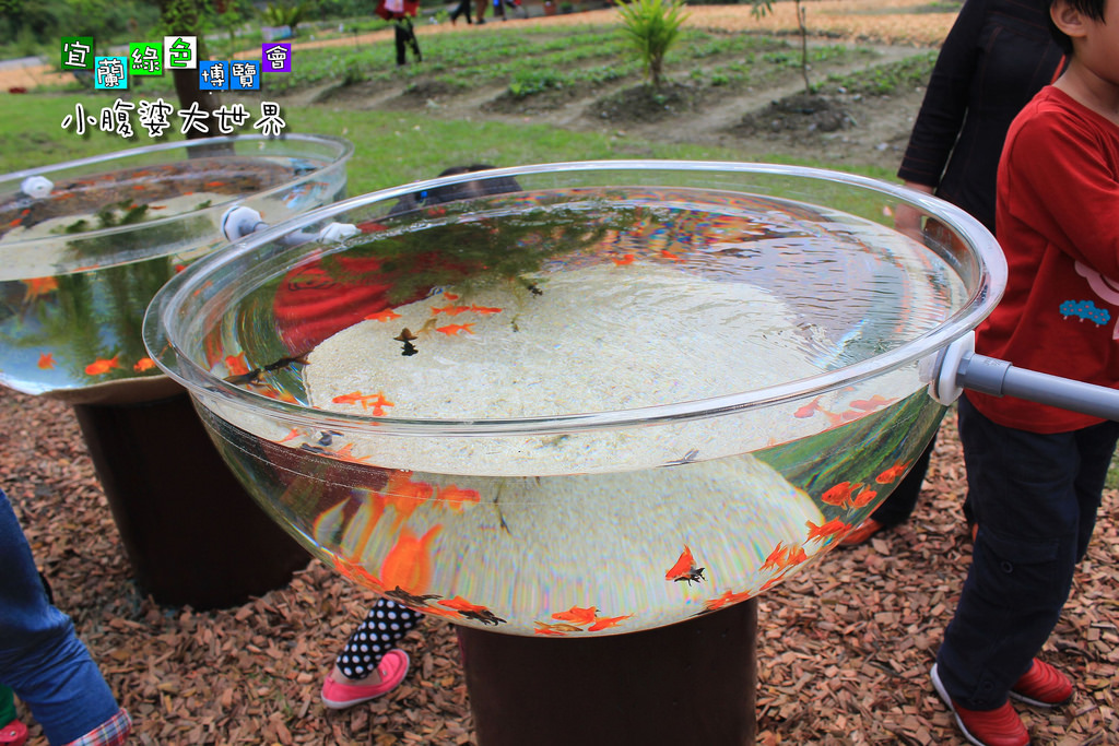 2015綠色博覽愷047 2015綠色博覽愷047