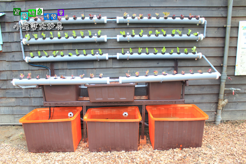 2015綠色博覽愷048 2015綠色博覽愷048