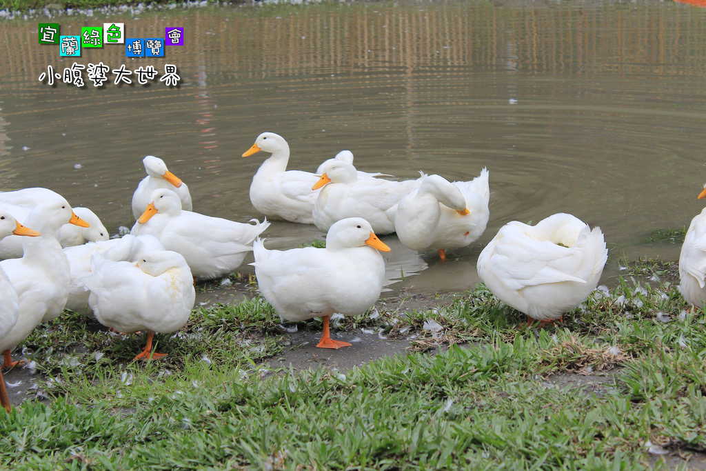 2015綠色博覽愷060 2015綠色博覽愷060