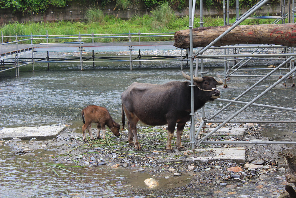 照片 519 照片 519