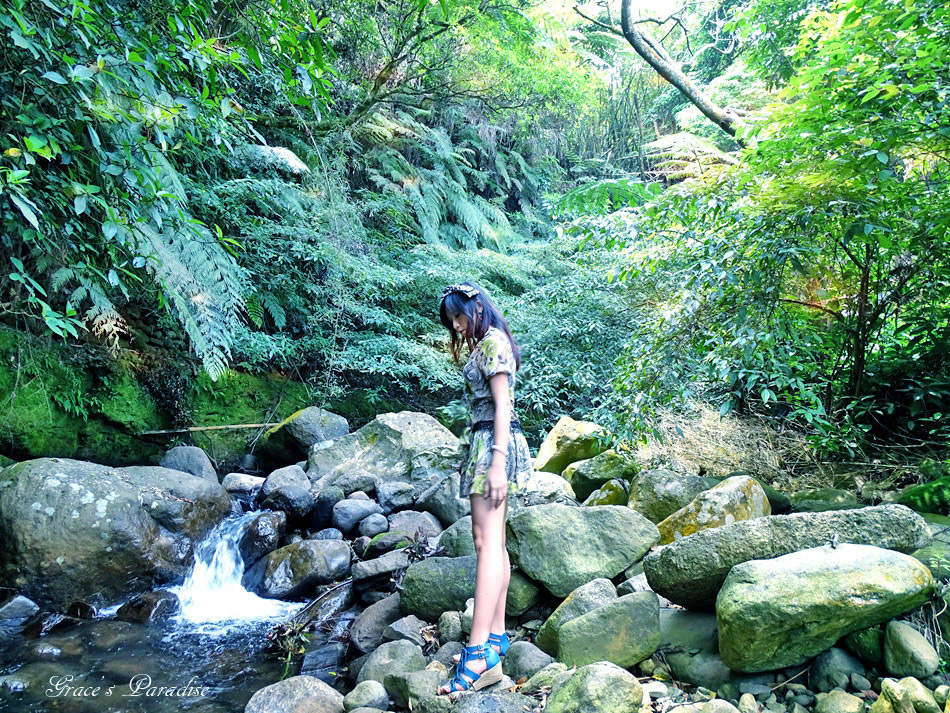 台北奧萬大-(50).jpg 台北奧萬大-(50).jpg