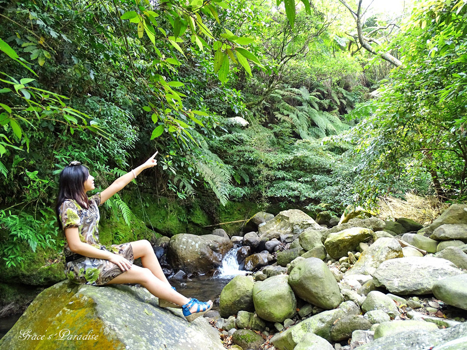 台北奧萬大 (49).jpg 台北奧萬大 (49).jpg