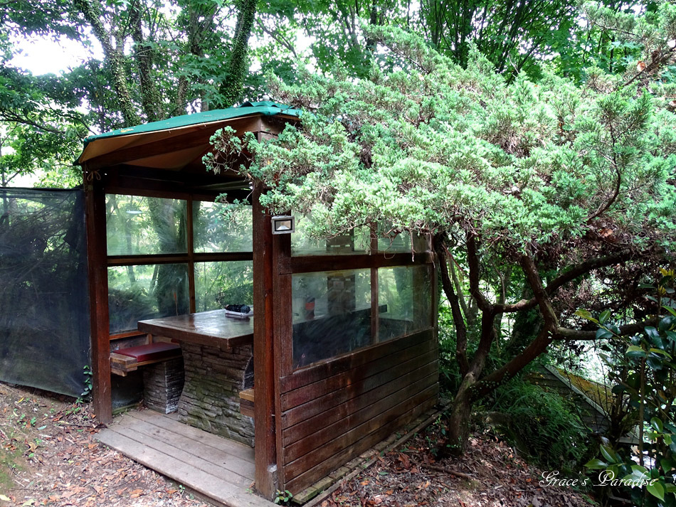 台北奧萬大 (23).jpg 台北奧萬大 (23).jpg