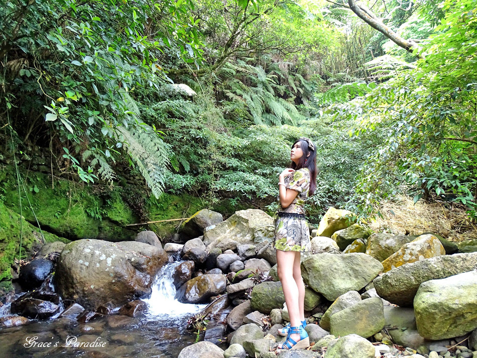 台北奧萬大 (51).jpg 台北奧萬大 (51).jpg