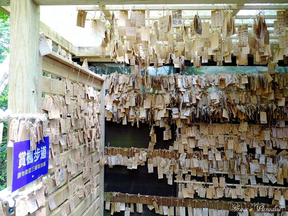 台北奧萬大 (36).jpg 台北奧萬大 (36).jpg