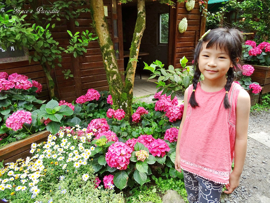 台北奧萬大 (25).jpg 台北奧萬大 (25).jpg