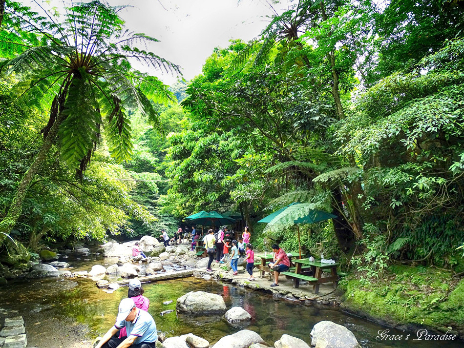 台北奧萬大 (48).jpg 台北奧萬大 (48).jpg